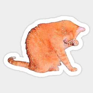 Orange Cat Washing Cute Watercolor Style Sticker